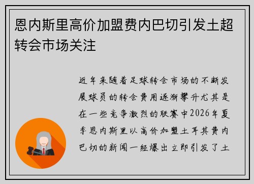 恩内斯里高价加盟费内巴切引发土超转会市场关注