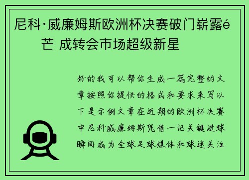 尼科·威廉姆斯欧洲杯决赛破门崭露锋芒 成转会市场超级新星