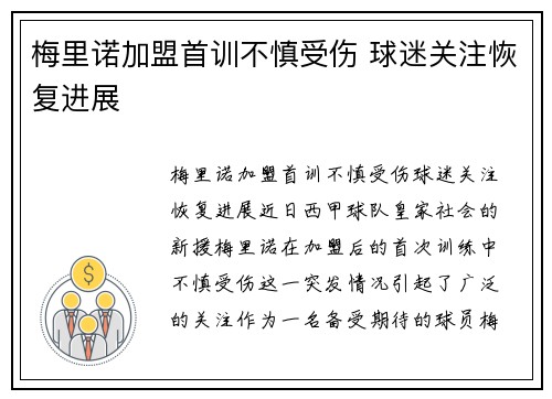 梅里诺加盟首训不慎受伤 球迷关注恢复进展 梅里诺加盟首训不慎受伤 球迷关注恢复进展